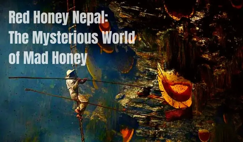 Red Honey Nepal: The Mysterious World of Mad Honey